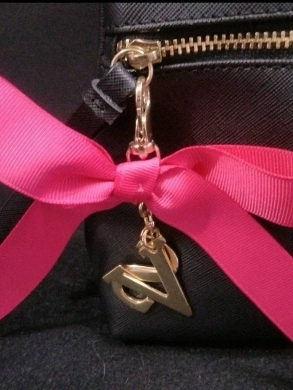 Victoria's Secret Makeup Bag w/ V & S Charms Pink Ribbon (Great Condition)